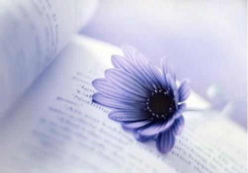 ������һ���������˸�