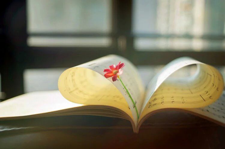 �����Ķ�