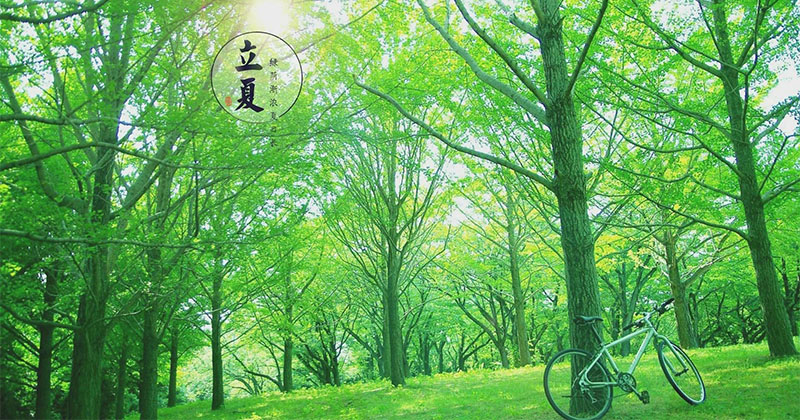 �й����ĵ�ɢ��