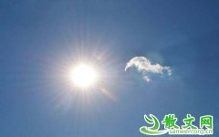 ̫���������