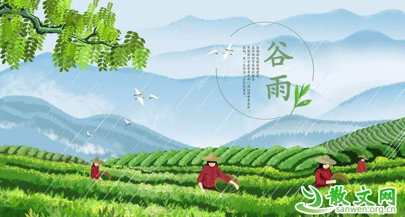 �ֵ�����