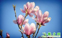 �¶�Բ��������������