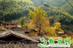 İ���Ĺ���