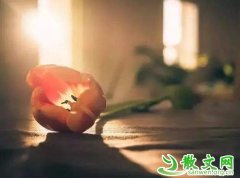 �������غ����������మ