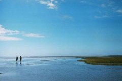 �������壨�¶��㣩