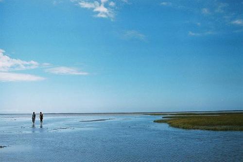 ��������__�¶���