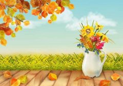 ����Ļ��ʷ������