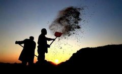 һ��С�£�³Ѹ��