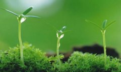 ����������ģ�