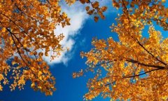 ��������֮�յ�̫��