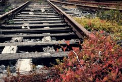 ���ʱ�ķ羰����������