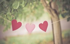 Ҫ�����ߵ���