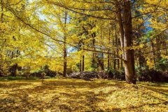 ˭���������������·��