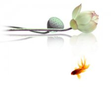 ����������������ɫ��