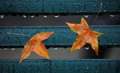 ��ҹ����������