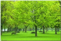 ���ڼ�����ķҷ�