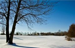 �����������·��