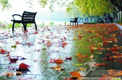 ��ҹ������һ������