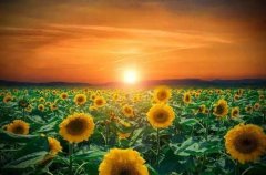 ��һ��Ŀ����һֱ������