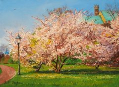 ������Ȼ�Ľ���