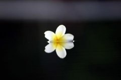 ����ˮ��˼