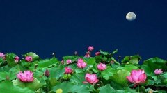 ������ɫ