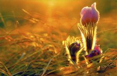 ��������Ȥ