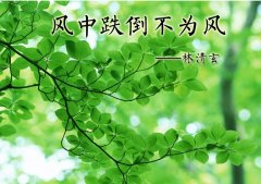 ���е�����Ϊ��