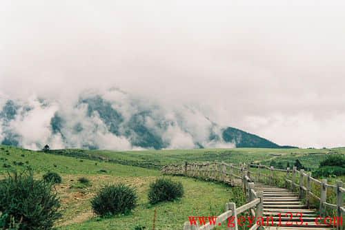爱一个人的心情说说感悟生活 爱一个人的心情说说感悟生活